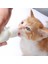 Boyutu 3 50 ml Yavru Yavru Biberon Seti Pet Köpek Kedi Bebek Emzirme Suyu Süt Besleyici Temizleme Fırçası ile Yenidoğan Kedi Içme Şişesi (Yurt Dışından) 4