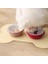 Pembe Su Geçirmez Pet Mat Köpek Kedi Için Düz Renk Silikon Evcil Hayvan Gıda Pedi Hayvan Mama Kabı Içme Matı Köpek Besleme Matı Placemat Kolay Yıkama (Yurt Dışından) 3