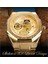 GMT1189-4 Kazanan Altın Spor Çerçeve Tasarımı Şeffaf Çelik Erkekler Otomatik Mekanik Kol Saati Üst Marka Lüks Su Geçirmez Saat (Yurt Dışından) 3