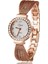 Gümüş Lüks Taklidi Bilezik Izle Kadın Gül Altın Örgü Kadın Saatler Moda Çelik Bayanlar Kol Saati Kuvars Saat Montre Femme (Yurt Dışından) 2