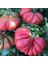 Pink Accordion Etli Pembe Domates Tohumu(15 Tohum) 2