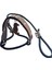 Köpek gezdirme kayışlı boyun tasmalı takım halat siyah gezdirme kayışı:100cm tasma ölçüsü:35-60cm ayarlamalı dog collar TB4-4 4