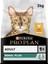 Tavuklu Pirinçli Yetişkin Kedi Mamasi 3 kg 2