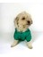 Luxy Green Köpek Montu Köpek Ceketi Köpek Dış Giyim 2