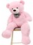 % 100 Yerli - Papyonlu Sevimli Büyük Peluş Ayıcık, 130 cm 3