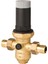 Resideo Braukmann DN15 Entegre Filtreli Basınç Düşürücü Vana - D06FN-1/2B 1