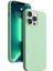Iphone 13 Pro 6.1 Inç Yumuşak Silikon Kılıf Ultra Ince Slim Pürüzsüz Dokunuş Anti Drop Anti-Drop Telefon Kapak Yeşilleri (Yurt Dışından) 1