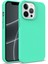 Iphone 13 Pro Telefon Kılıfı 6.1 Inç Biyolojik Olarak Parçalanabilir Buğday Samanı+Tpu Çevre Dostu Anti-Çizik Arka Kabuk-Yeşil (Yurt Dışından) 1