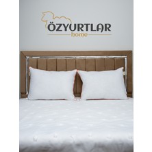 Özyurtlar Home Boncuk Silikon Yastık