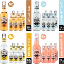 Bota Tonic Mix-1 24 x 250 ml