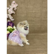 Maria Pet Fashion Köpek & Kedi Kıyafeti