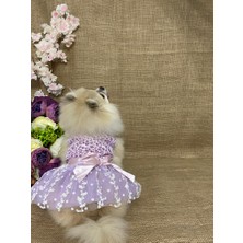 Maria Pet Fashion Köpek & Kedi Kıyafeti