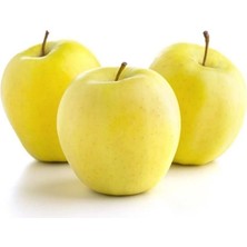 Doğan Fidancılık Elma Golden Delicious 2 Yaş Tüplü 90-110cm