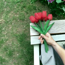 OziHouse Yapay Islak Lale Kırmızı8'li