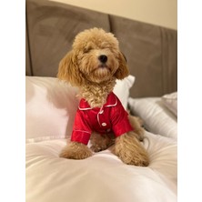Petite Pati Köpek Pijamasi Köpek Kıyafeti