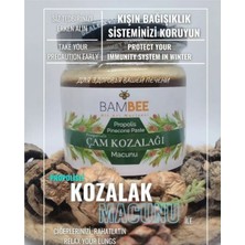 Bambee Propolisli Çam Kozalağı Macunu 450 gr