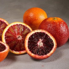 Doğan Fidancılık Bodur Tipte Yemesi Mükemmel Içi Dışı Kırmızı Blood Orange Red Kan Portakalı Fidanı