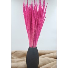 Dekora Çiçek Kurutulmuş Deniz Başağı - Pembe