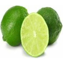 Doğan Fidancılık Tüplü Aşılı Misket Limonu Lime