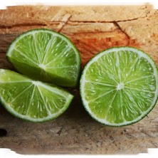 Doğan Fidancılık Tüplü Aşılı Misket Limonu Lime