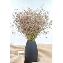 Dekora Çiçek Şoklanmış Tatarika (Deniz Otu, Tatarica) 80 gr - Naturel