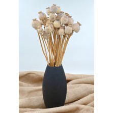 Dekora Çiçek Kurutulmuş Haşhaş Kozası 10 Dal - Naturel