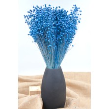 Dekora Çiçek Kurutulmuş Keten Otu (Luna Otu) Mavi