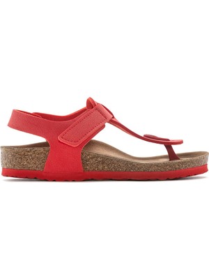 Birkenstock Kaıro Kıds Bf Earthy Vegan