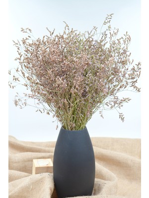 Dekora Çiçek Şoklanmış Tatarika (Deniz Otu, Tatarica) 80 gr - Naturel