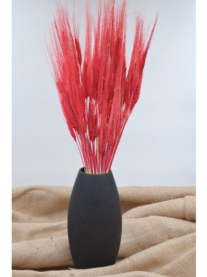 Dekora Çiçek Şoklanmış Başak (Buğday Başağı) - Kırmızı