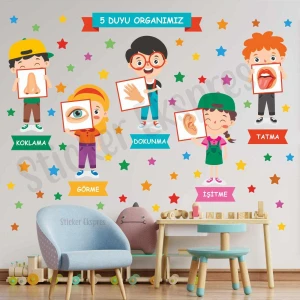 Sticker Ekspres Beş Duyu Organımız Eğitici Anaokulu Çocuk Odası Kreş Duvar Kapı Cam Sticker Seti