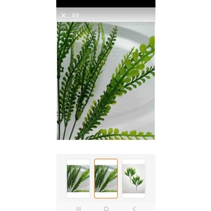 Yasimayapaybitkikabarıksusambitkisi Demeti 5 Dal Garnitür Aranjman Dikey Bahçe Saksı Yeşillik 40 cm