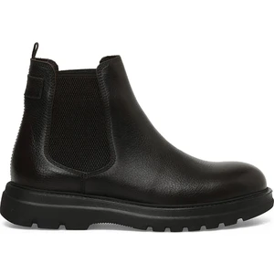 Pais F 3pr Kahverengi Erkek Bot