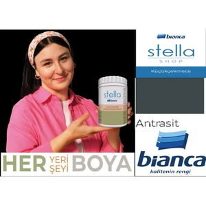 Stella Boya Su Bazlı Akrilik 1 Lt