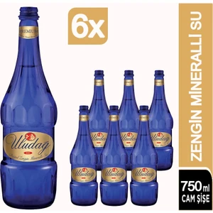 Premium Doğal Mineralli Su 6 x 750 ml