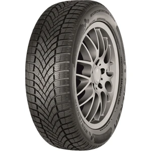 205/60 R16 96H Xl Eurowinter Hs02 Oto Kış Lastiği ( Üretim Yılı: 2023 )
