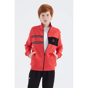 Fiesta Dik Yaka Erkek Çocuk Sweatshirt - 11183