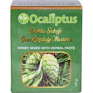 Damla Sakızlı Çam Kozalağı Macunu (240GRAM)