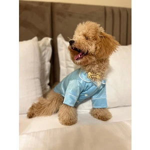 Petite Pati Köpek Pijamasi Köpek Kıyafeti