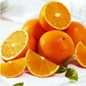 Doğan Fidancılık Tüplü Aşılı Verimli Bol Sulu Valencia Portakal Fidanı