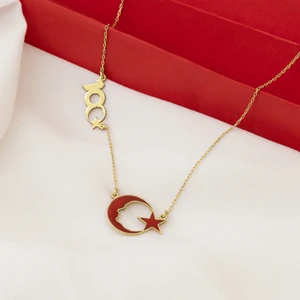 Dkmn Silver Mineli Ay Yıldız 100.YIL Gümüş Kolye