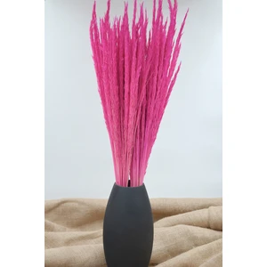 Dekora Çiçek Kurutulmuş Deniz Başağı - Pembe