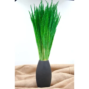 Dekora Çiçek Kurutulmuş Deniz Başağı - Yeşil