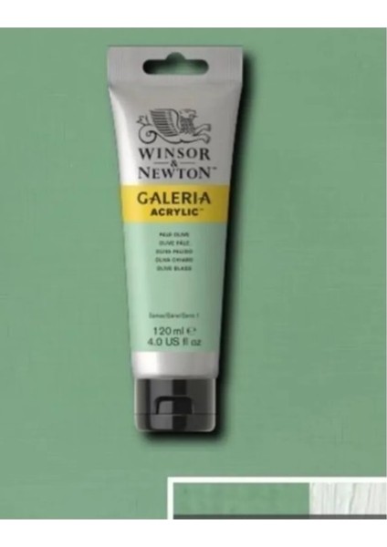 Winsor Newton Galeria Akrilik Boya 120 Ml. 435 Pale Olive fiyatları
