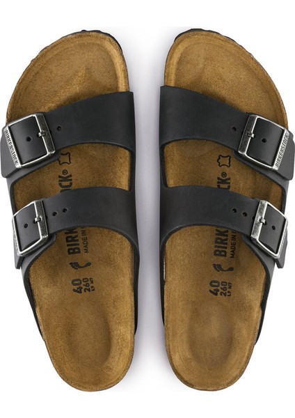 Arızona Leoı fiyatları