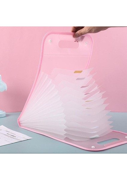 Pembe 12 Izgaralar Taşınabilir A4 Dosya Klasörü Belge Çantası Büyük Kapasiteli Şeffaf Pp Dikey Organ Kutusu Ofis Kağıdı Saklama Organize Çanta (Yurt Dışından)