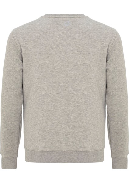 Simple Erkek Sweatshirt fiyatları