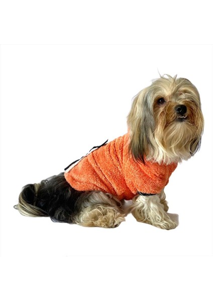 Orange Black Bunny Kapşonlu Sweat By Kemique Köpek Kazağı