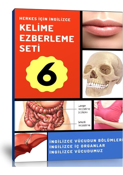 İngilizce Kelime Ezberleme Modüler Kitap Seti-6