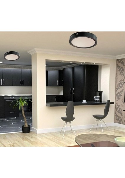 CT-5238 30 Watt Sıva Üstü Siyah Kasa Yuvarlak LED Panel Armatür Beyaz Işık